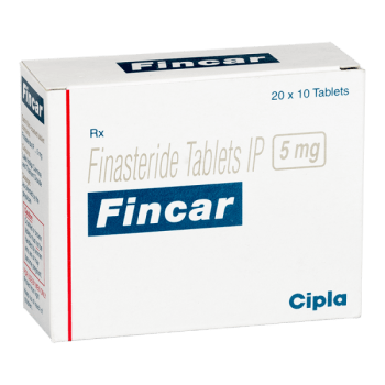 핀카 FINCAR